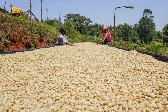 Kenya AB Karinga